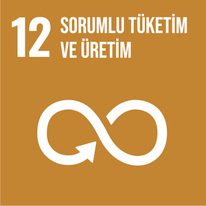 sorumlu tüketi̇m ve üreti̇m