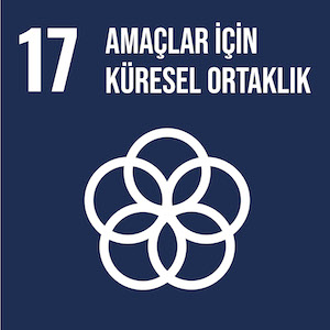 Amaçlar i̇çin küresel ortaklık