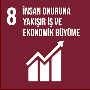 İnsan onuruna yakışır i̇ş ve ekonomik büyüme